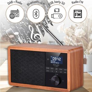 Adler AD 1184 Radio portable Numérique Noir, Bois