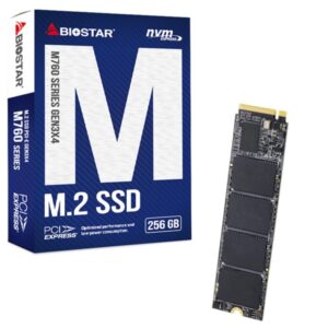 SSD Biostar M760 256GB