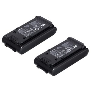 Aspirateur vertical Samsung VS20B95943N/GE