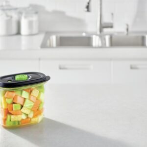 FoodSaver FFC023X boîte hermétique alimentaire Ovale 1,8 L Noir, Transparent 1 pièce(s)