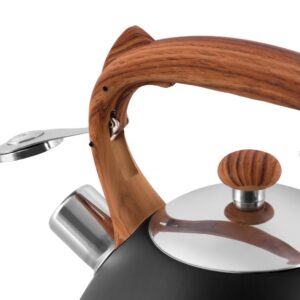 Promis TMC12 bouilloire 3 L Noir, Acier inoxydable