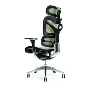 Siège de bureau ergonomique ERGO 700 vert