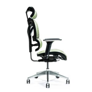 Siège de bureau ergonomique ERGO 600 vert