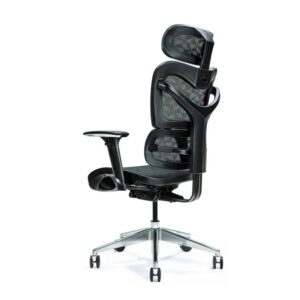Siège de bureau ergonomique ERGO 600 noir
