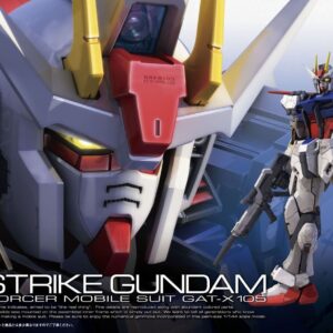 RG 1/144 AILE STRIKE GUNDAM BL